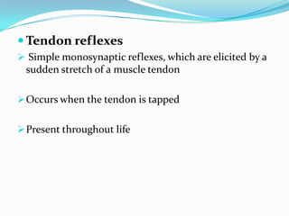  Tendon reflexes
 Simple monosynaptic reflexes, which are elicited by a
sudden stretch of a muscle tendon
Occurs when the tendon is tapped
Present throughout life
 
