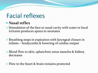 Facial reflexes
 Nasal reflex
 Stimulation of the face or nasal cavity with water or local
irritants produces apnea in neonates
 Breathing stops in expiration with laryngeal closure in
infants – bradycardia & lowering of cardiac output
 Blood flow to skin, splanchnic areas muscles & kidney
decreases
 Flow to the heart & brain remains protected
 