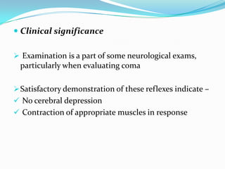  Clinical significance
 Examination is a part of some neurological exams,
particularly when evaluating coma
Satisfactory demonstration of these reflexes indicate –
 No cerebral depression
 Contraction of appropriate muscles in response
 
