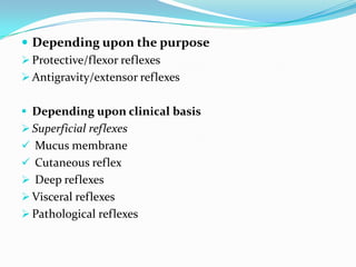 Depending upon the purpose
 Protective/flexor reflexes
 Antigravity/extensor reflexes
 Depending upon clinical basis
 Superficial reflexes
 Mucus membrane
 Cutaneous reflex
 Deep reflexes
 Visceral reflexes
 Pathological reflexes
 