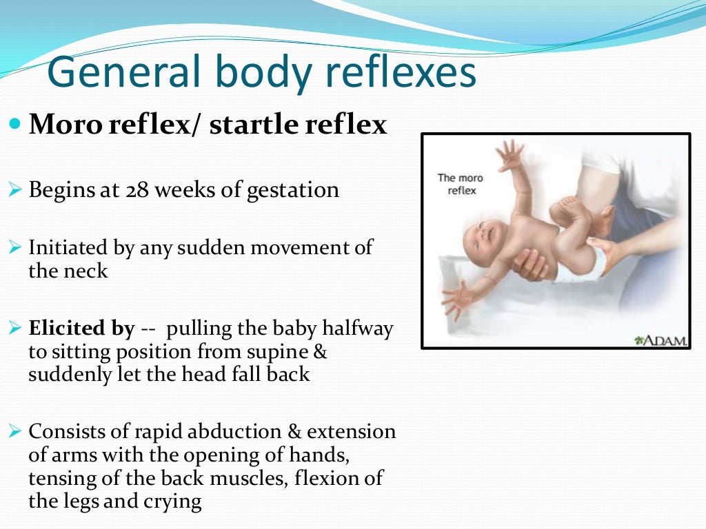 Reflexes present in infants