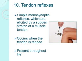 10. Tendon reflexes
Simple monosynaptic
reflexes, which are
elicited by a sudden
stretch of a muscle
tendon
Occurs when the
tendon is tapped
Present throughout
life
 