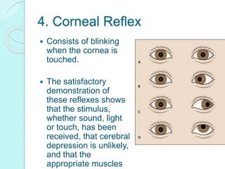 4. Corneal Reflex
 Consists of blinking
when the cornea is
touched.
 The satisfactory
demonstration of
these reflexes shows
that the stimulus,
whether sound, light
or touch, has been
received, that cerebral
depression is unlikely,
and that the
appropriate muscles
 