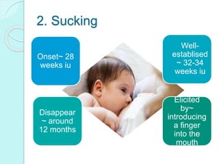 2. Sucking
Onset~ 28
weeks iu
Well-
establised
~ 32-34
weeks iu
Disappear
~ around
12 months
Elicited
by~
introducing
a finger
into the
mouth
 