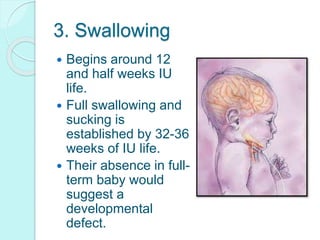 3. Swallowing
 Begins around 12
and half weeks IU
life.
 Full swallowing and
sucking is
established by 32-36
weeks of IU life.
 Their absence in full-
term baby would
suggest a
developmental
defect.
 