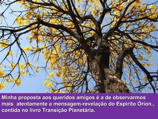 Minha proposta aos queridos amigos é a de observarmos mais  atentamente a mensagem-revelação do Espírito Órion., contida no livro Transição Planetária. 