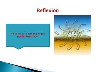 ReflexionNo dejes para mañana lo que puedes hacer hoy.