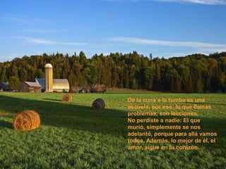 De la cuna a la tumba es una
escuela; por eso, lo que llamas
problemas, son lecciones.
No perdiste a nadie: El que
murió, simplemente se nos
adelantó, porque para allá vamos
todos. Además, lo mejor de él, el
amor, sigue en tu corazón.
 