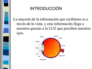 Reflexin De La Luz | PPT