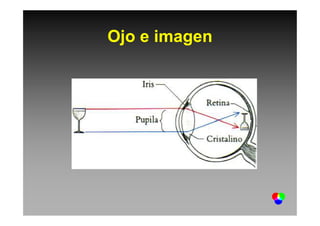 Ojo e imagen
 