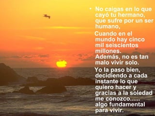 No caigas en lo que cayó tu hermano, que sufre por un ser humano,  Cuando en el mundo hay cinco mil seiscientos millones.  Además, no es tan malo vivir solo.  Yo la paso bien, decidiendo a cada instante lo que quiero hacer y gracias a la soledad me conozco...... algo fundamental para vivir.  