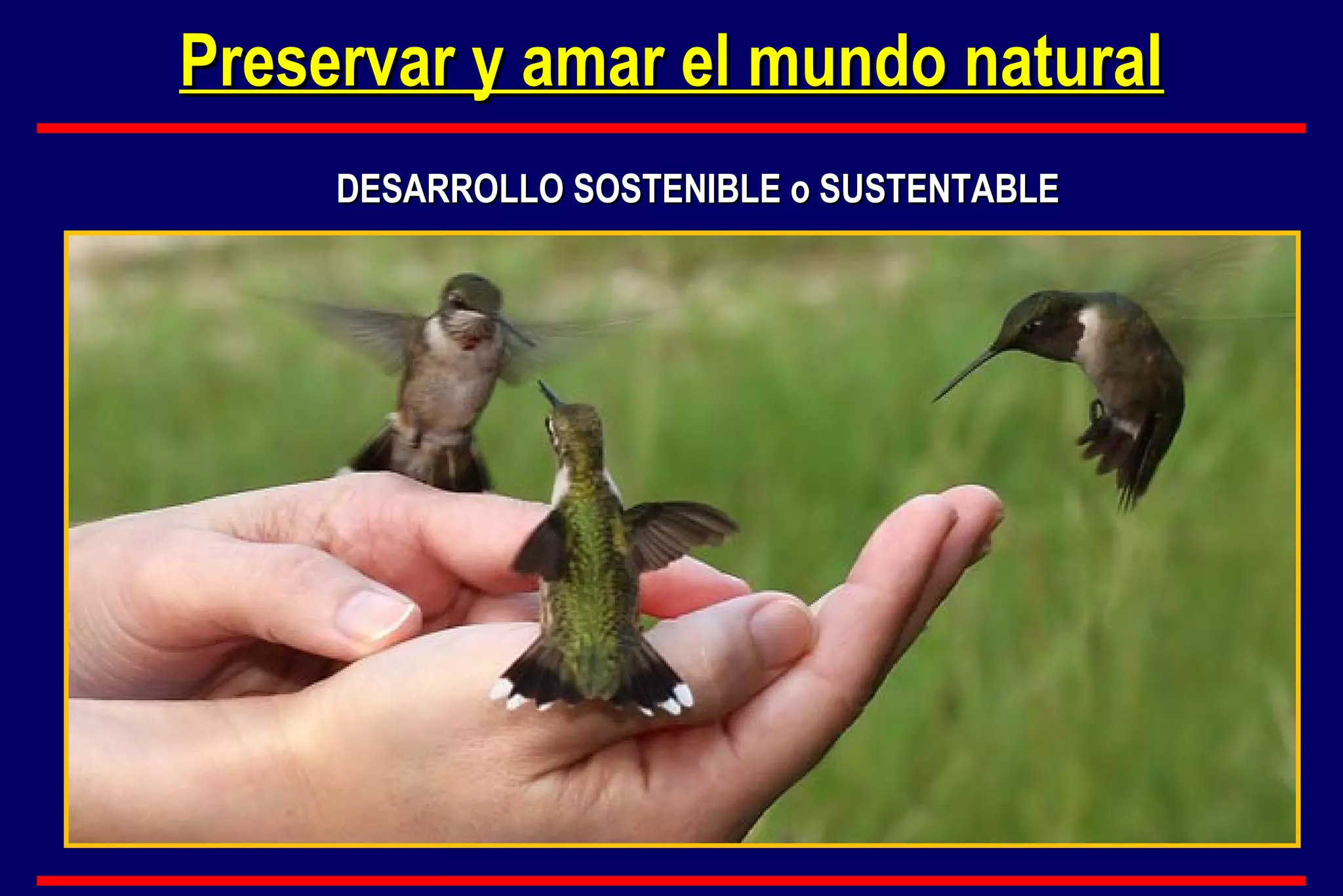 Preservar y amar el mundo natural
DESARROLLO SOSTENIBLE o SUSTENTABLE

 