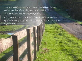 Vas a ver- dijo el viento- como con sólo echarme
sobre ese hombre, desgarro sus vestiduras.
Y comenzó a soplar cuanto podía.
Pero cuanto más esfuerzos hacían, el hombre más
oprimía su capa, gruñendo contra el viento, y seguía
caminando.
 