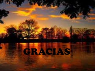GRACIAS