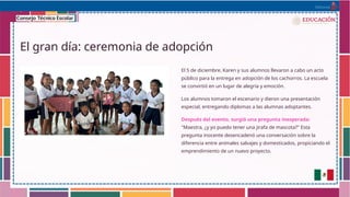 Reflexión Docente para la Mejora Continua y Transformación Pedagógica ...