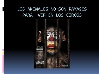 LOS ANIMALES NO SON PAYASOS PARA  VER EN LOS CIRCOS
