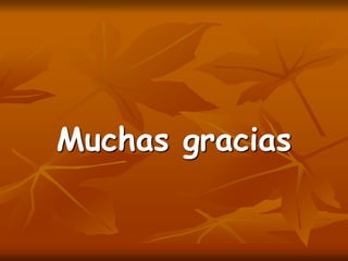 Muchas gracias
 