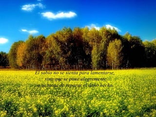 El sabio no se sienta para lamentarse,
     sino que se pone alegremente
 a su tarea de reparar el daño hecho.
 