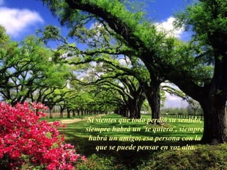Si sientes que todo perdió su sentido,
siempre habrá un ¨te quiero¨, siempre
 habrá un amigo; esa persona con la
    que se puede pensar en voz alta.
 