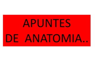 APUNTES
DE ANATOMIA..
 