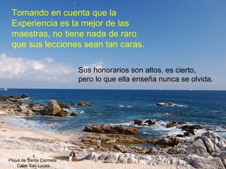Tomando en cuenta que la Experiencia es la mejor de las maestras, no tiene nada de raro que sus lecciones sean tan caras. Sus honorarios son altos, es cierto,  pero lo que ella enseña nunca se olvida. Playa de Santa Carmela  Cabo San Lucas 