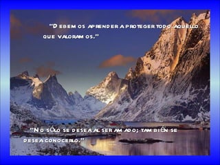 Reflexiones