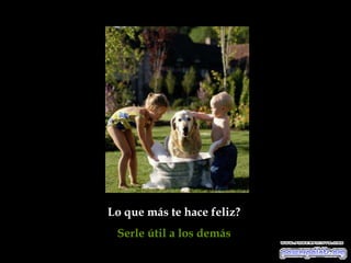 Lo que más te hace feliz?
 Serle útil a los demás
 