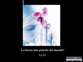 La fuerza más potente del mundo?
             La Fe
 