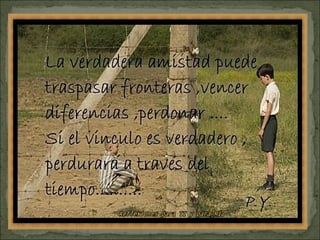 Reflexiones
