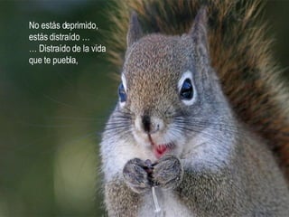 No estás deprimido,  estás distraído … …  Distraído de la vida que te puebla, 