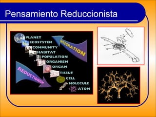 Pensamiento Reduccionista
 