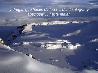 y drogas que hacen de todo ,,, desde alegrar y apaciguar ,,, hasta matar. 