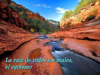 La raíz de todos los males, el egoismo