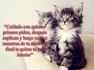 “Cuidado con quienes
primero piden, después
suplican y luego exigen
muestras de tu amor. Al
final te quitan tu paz
interior”

 