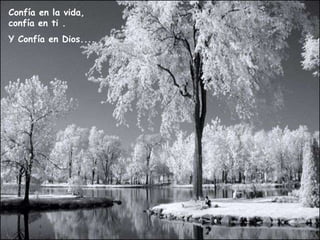 Confía en la vida,
confía en ti .
Y Confía en Dios....
 