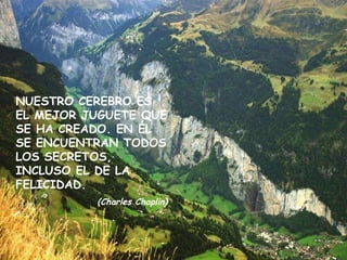 NUESTRO CEREBRO ES EL MEJOR JUGUETE QUE SE HA CREADO. EN ÉL SE ENCUENTRAN TODOS LOS SECRETOS, INCLUSO EL DE LA FELICIDAD. (Charles Chaplin) 