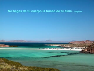 No hagas de tu cuerpo la tumba de tu alma.   Pitágoras
 