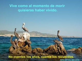 Vive como al momento de morir
     quisieras haber vivido.




No cuentes los años, cuenta los recuerdos.
                                 Bahía de Cabo San Lucas
 