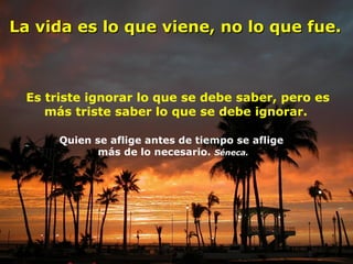 La vida es lo que viene, no lo que fue.

Es triste ignorar lo que se debe saber, pero es
más triste saber lo que se debe ignorar.
Quien se aflige antes de tiempo se aflige
más de lo necesario. Séneca.

 