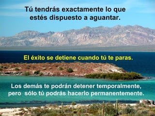 Tú tendrás exactamente lo que
estés dispuesto a aguantar.

El éxito se detiene cuando tú te paras.

Los demás te podrán detener temporalmente,
pero sólo tú podrás hacerlo permanentemente.

 