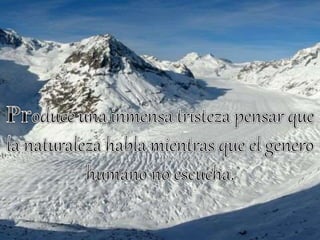 Reflexiones de la vida