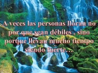 Reflexiones de la vida