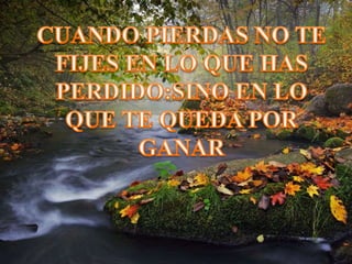 Reflexiones de la vida