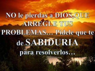 Reflexiones de la vida