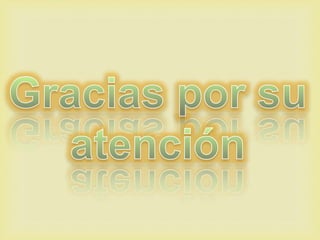 Reflexiones del portafolio virtual