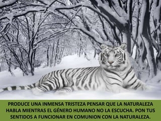 PRODUCE UNA INMENSA TRISTEZA PENSAR QUE LA NATURALEZA HABLA MIENTRAS EL GÉNERO HUMANO NO LA ESCUCHA. PON TUS SENTIDOS A FUNCIONAR EN COMUNION CON LA NATURALEZA.