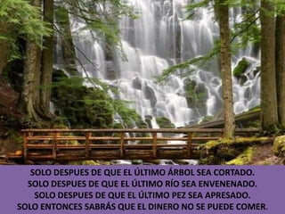 SOLO DESPUES DE QUE EL ÚLTIMO ÁRBOL SEA CORTADO.SOLO DESPUES DE QUE EL ÚLTIMO RÍO SEA ENVENENADO.SOLO DESPUES DE QUE EL ÚLTIMO PEZ SEA APRESADO.SOLO ENTONCES SABRÁS QUE EL DINERO NO SE PUEDE COMER.