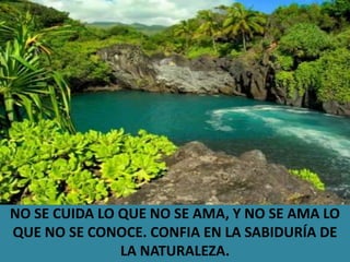 NO SE CUIDA LO QUE NO SE AMA, Y NO SE AMA LO QUE NO SE CONOCE. CONFIA EN LA SABIDURÍA DE LA NATURALEZA.