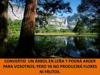 CONVERTID  UN ÁRBOL EN LEÑA Y PODRÁ ARDER PARA VOSOTROS; PERO YA NO PRODUCIRÁ FLORES NI FRUTOS.
