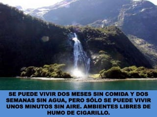 SE PUEDE VIVIR DOS MESES SIN COMIDA Y DOS SEMANAS SIN AGUA, PERO SÓLO SE PUEDE VIVIR UNOS MINUTOS SIN AIRE. AMBIENTES LIBRES DE HUMO DE CIGARILLO.